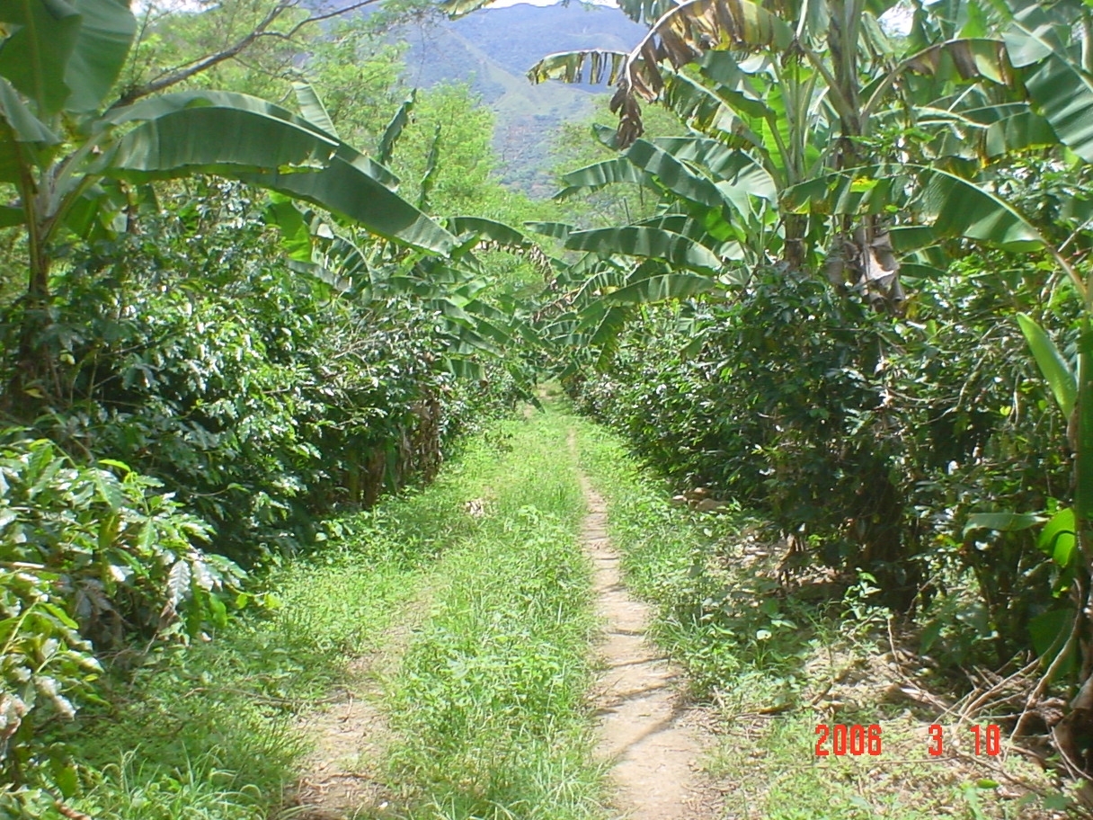 Imagen-072-2